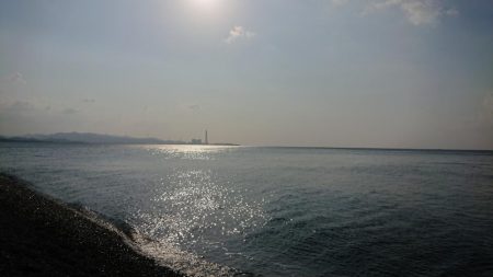 カツオのはずが・・・