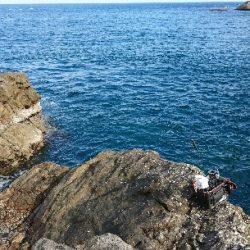 尾鷲で五目釣り