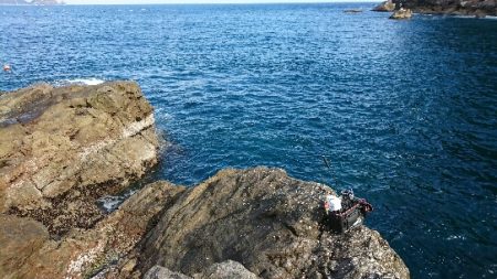 尾鷲で五目釣り