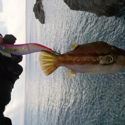 ちょこっとエギング