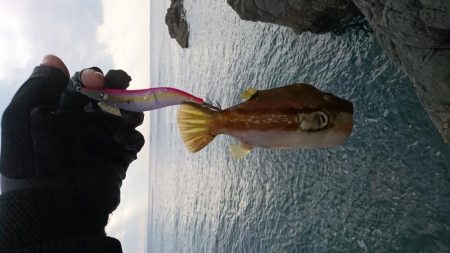 ちょこっとエギング