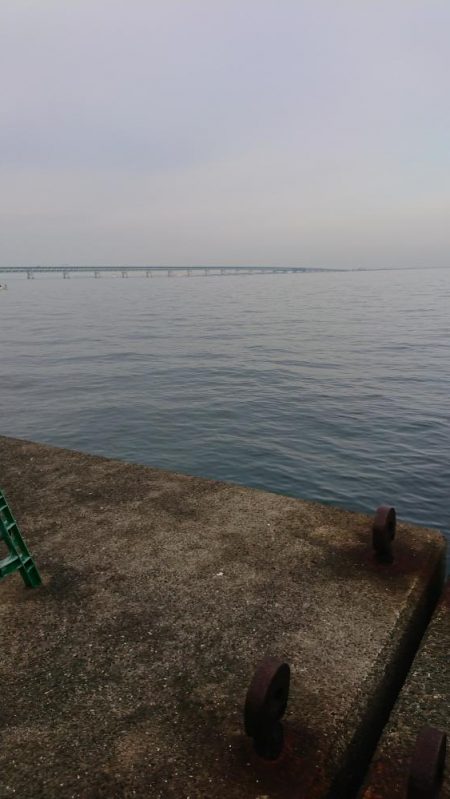 朝マズメの時合