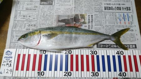 沼島でかご釣り