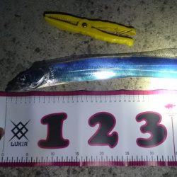 長時間頑張れど…