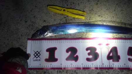 長時間頑張れど…