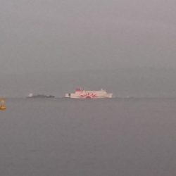 今日は海釣り公園