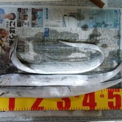 久しぶりに釣れました