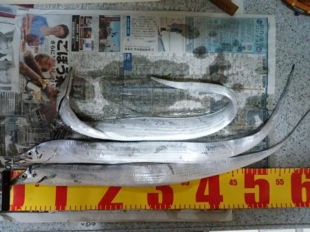 久しぶりに釣れました