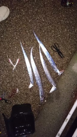 昼からファミリーフィッシング