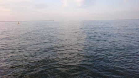 毎日タチウオ！