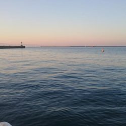 タチウオまだまだ好調持続中!