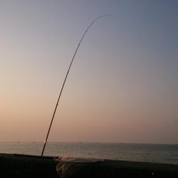 第2回播磨プチ遠征