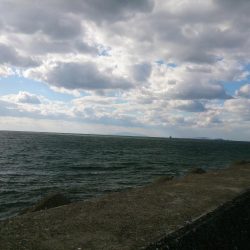 みなさまのお蔭です