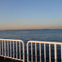 タチウオ継続中