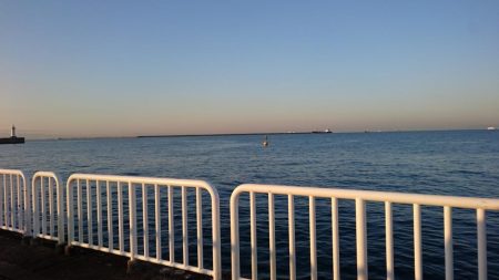 タチウオ継続中