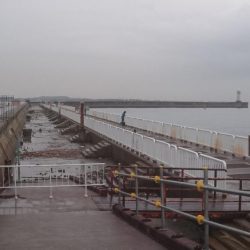 タチウオまだまだ釣れる