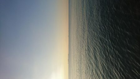 タモ入れの恐怖