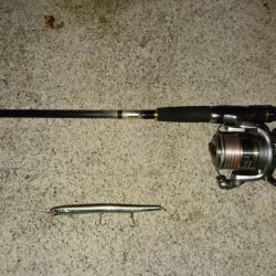 サヨリパターン攻略?