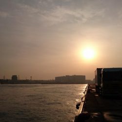 南港タチウオまだまだまだ釣れる