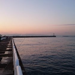 南港タチウオ大潮釣果