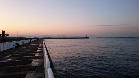 南港タチウオ大潮釣果