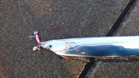 タチウオカッター！