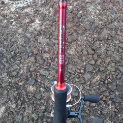 そろそろ渋めか!?