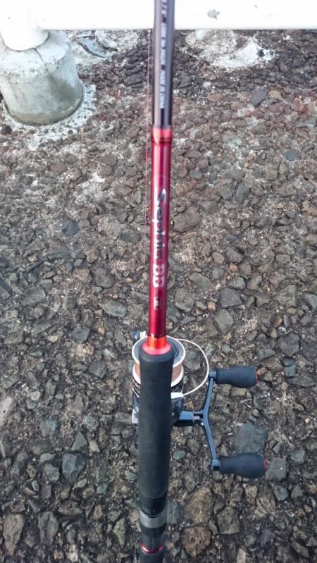 そろそろ渋めか!?