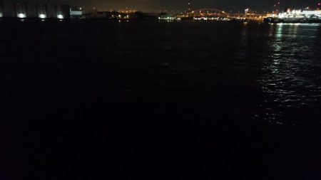 タチウオ渋いし小さい