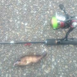 ライトワインド最初からやっておけば。。。