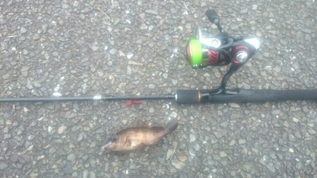 ライトワインド最初からやっておけば。。。