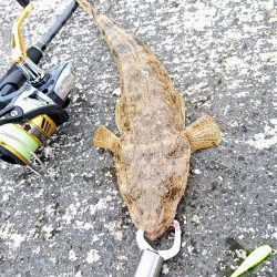 港内、ガルプワームで３種ヒットしました。