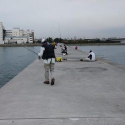 東二見白灯台でキス狙い