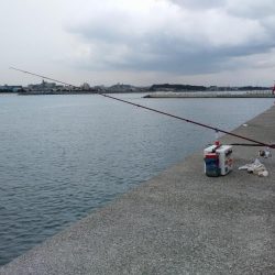 爆釣期待し東二見白灯台波止へ