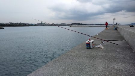 爆釣期待し東二見白灯台波止へ