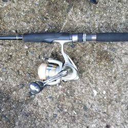 teamゲッソー調査隊