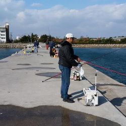 東二見の落ちギスが活発です
