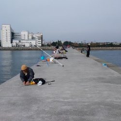 東二見白灯台波止で落ちギス調査