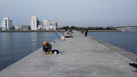 東二見白灯台波止で落ちギス調査