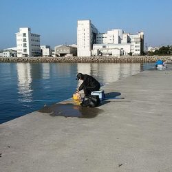 teamゲッソー調査隊