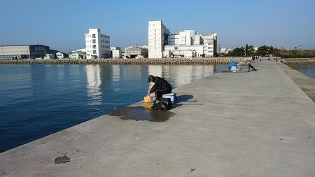 teamゲッソー調査隊