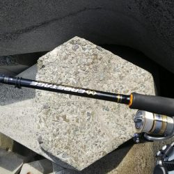 teamゲッソー調査隊