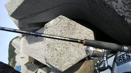 teamゲッソー調査隊