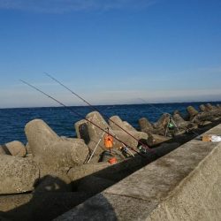 カレイ釣り、落ちギス釣り