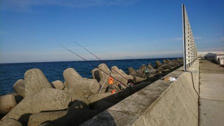 カレイ釣り、落ちギス釣り