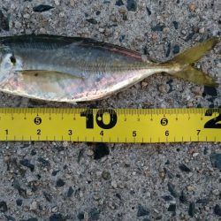 デイアジング&エソング