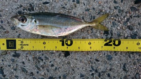 デイアジング&エソング