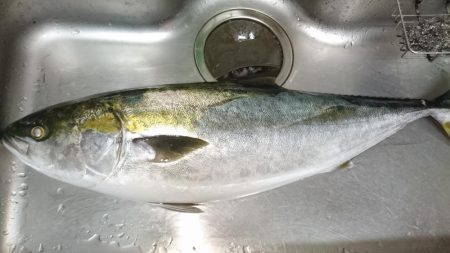 EEBISUでブリラッシュ