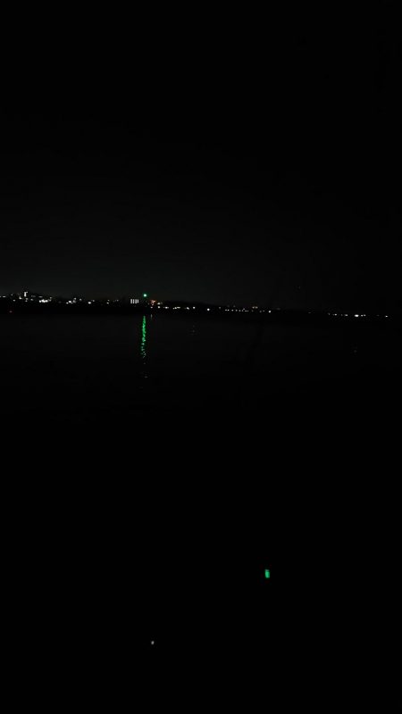 今日もタチウオ