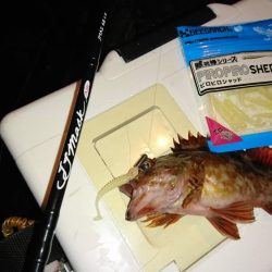 ライトゲーム調査